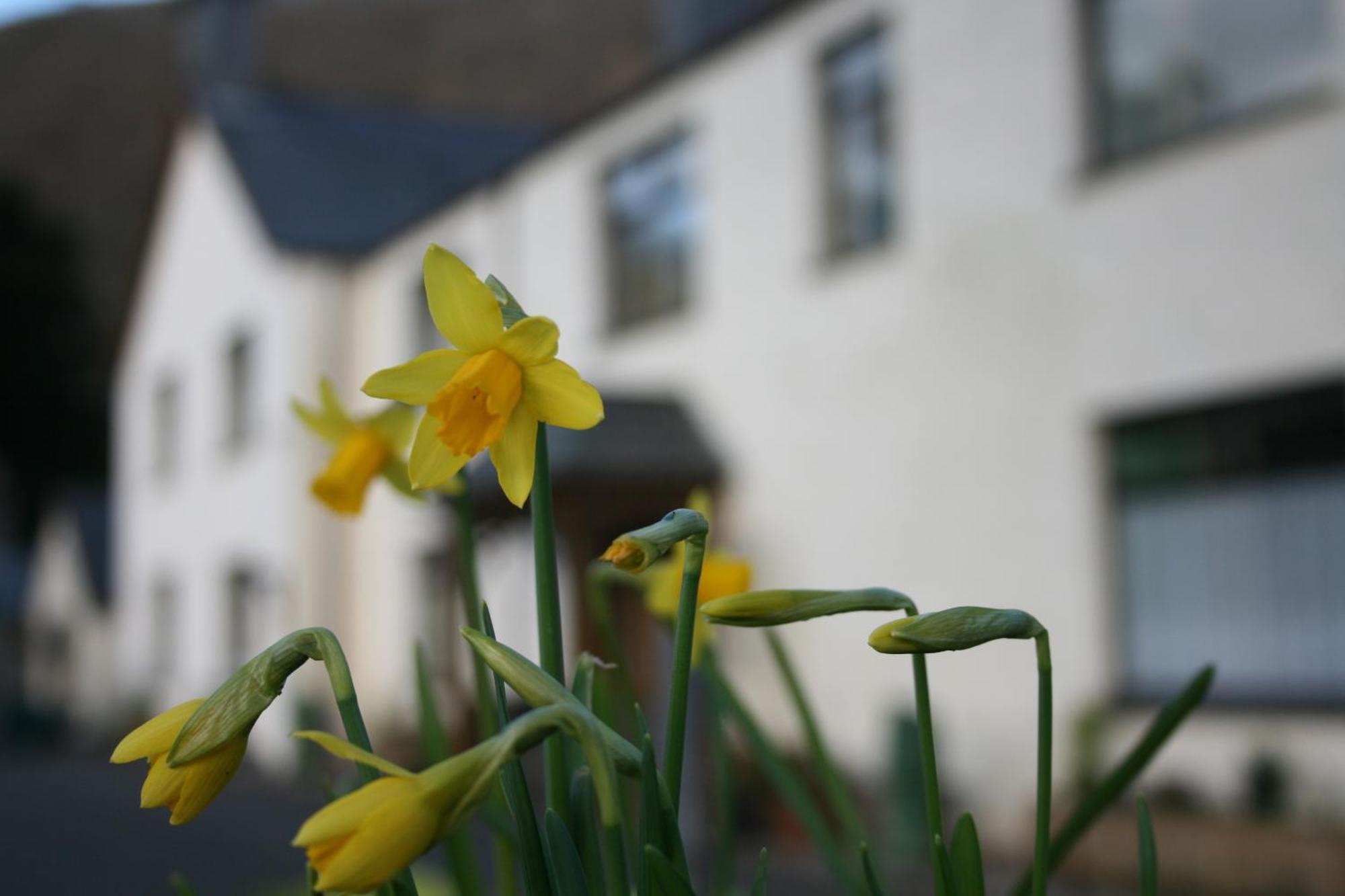 Padarn Apartment At Glanybala Holidays Llanberis Exterior foto