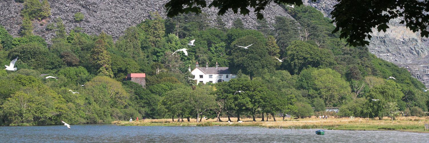 Padarn Apartment At Glanybala Holidays Llanberis Exterior foto